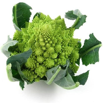 6 Piante di cavolfiore romanesco white gold