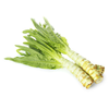 Pianta di lattuga asparago ((Lactuca sativa var. angustana)