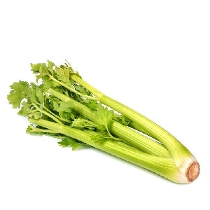 Pianta di Sedano bianco in vaso