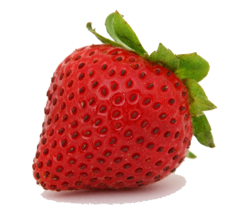 Pianta di Fragola Charlotte vaso