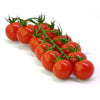 Plant de tomate cerise hybride en pot