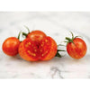 Plante de tomate cerise à rayures jaunes en pot