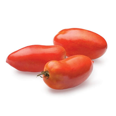 Pianta di Pomodoro San Marzano in vaso