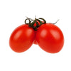Plant de tomate Principe Borghese en pot
