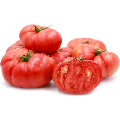 Pianta di Pomodoro gigante tondo in vaso