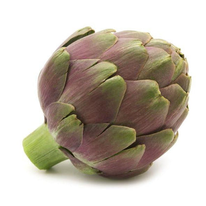 Pianta di Carciofo romanesco vaso