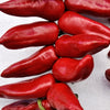 Pianta di Peperoncino basco (Gorria) vaso
