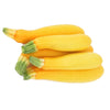 Usine de courgette jaune Gold Rush en pot