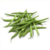 Plant de haricot vert nain