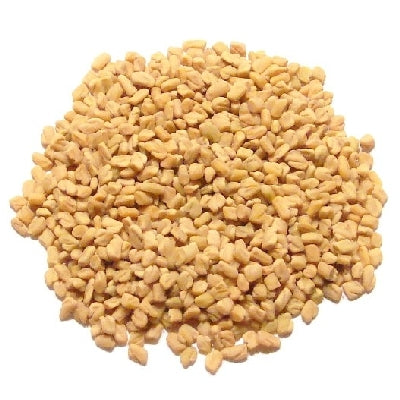 Pianta di fieno greco o trigonella in vaso