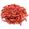 Pianta di Peperoncino pili pili in vaso