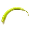 Citrouille longue sicilienne en pot