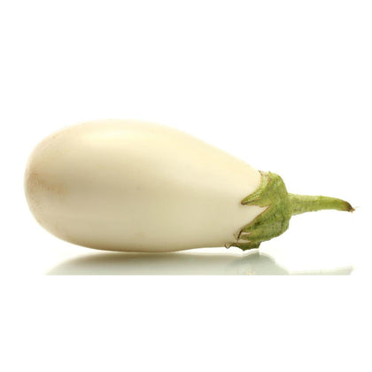 Pianta di Melanzana ovale bianca vaso