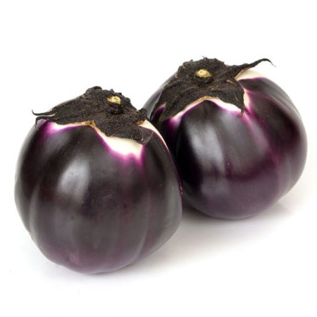 Aubergine ronde violette en pot