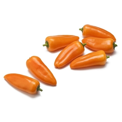 Pianta di Peperone mini da vaso arancio