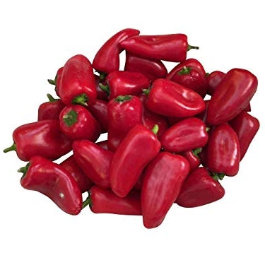 Pianta di Peperone mini da vaso rosso