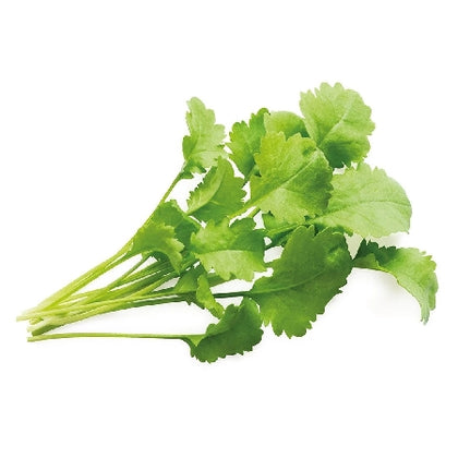 Pianta di crescione Inglese vaso