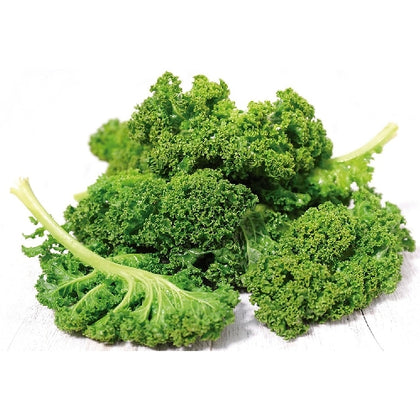 Pianta di kale verde riccio in vaso