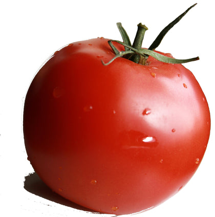 Pianta di Pomodoro tondo nano in vaso