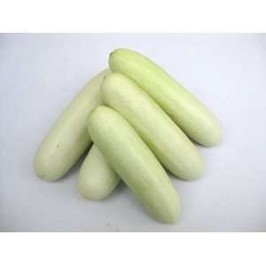Concombre mi-long blanc en pot