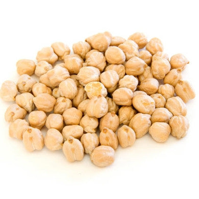 Pianta di Cece "principe" vaso