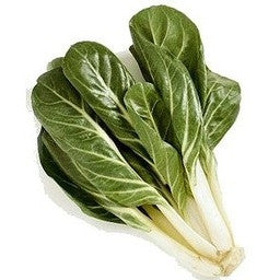 Pianta di Bietola a costa in vaso