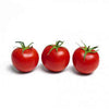 Pianta di Pomodoro ciliegino ibrido in vaso