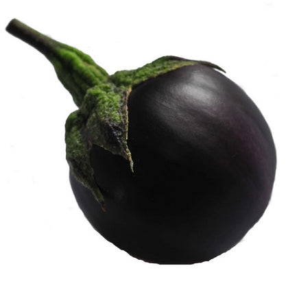 Pianta di Melanzana mini tonda Genovese