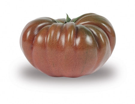 Pianta di Pomodoro tondo Nero di Crimea vaso