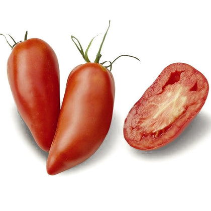 Pianta di Pomodoro a corno Cornabel in vaso