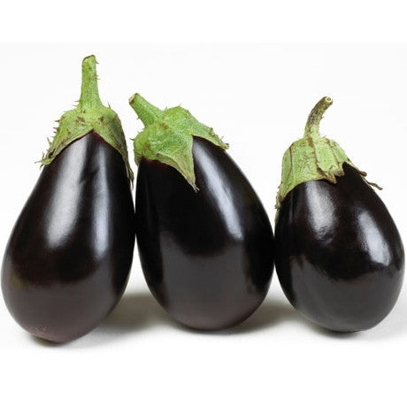 Cache-pot aubergine ovale noir