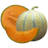 Cache-pot melon charentais grillagé