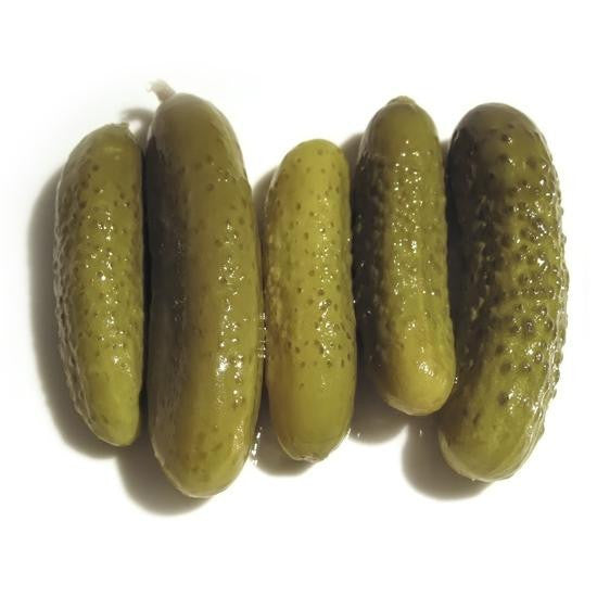 Plante de concombre pour cornichons en pot