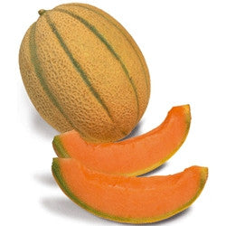 Pianta di Melone retato tradizionale vaso