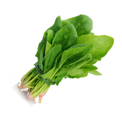 Pianta di Bietolina da taglio vaso