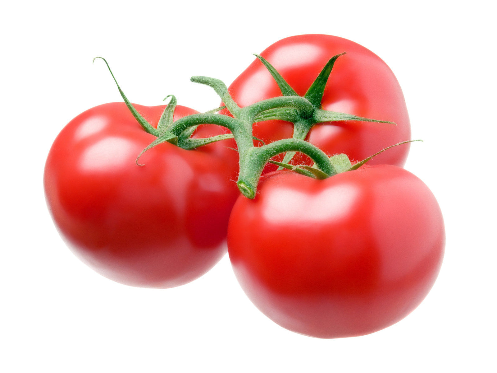 Pianta di Pomodoro tondo a grappolo ibrido vaso