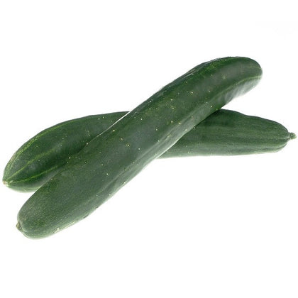 Pianta di Cetriolo lungo burpless vaso