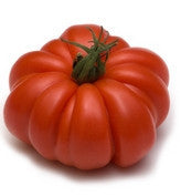 Pianta di Pomodoro costoluto ibrido in vaso