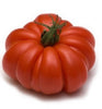 Pianta di Pomodoro costoluto ibrido in vaso