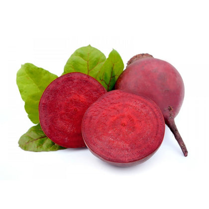 Pianta di Barbabietola tonda Detroit vaso