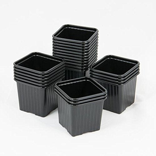 Vaso quadrato 8x8x7 cm