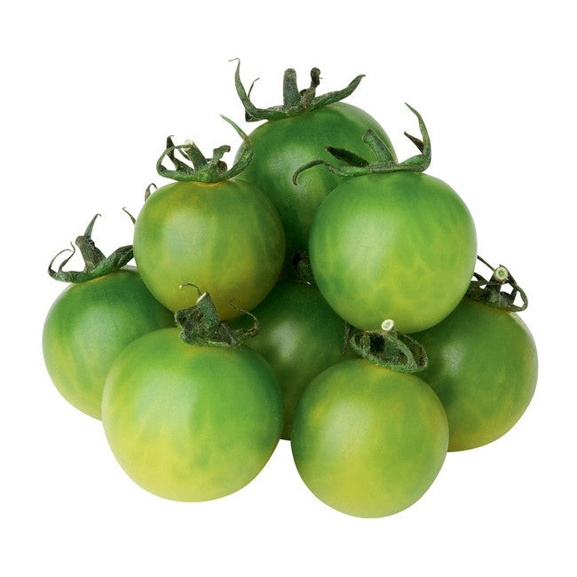 Plante de tomate cerise verte en pot