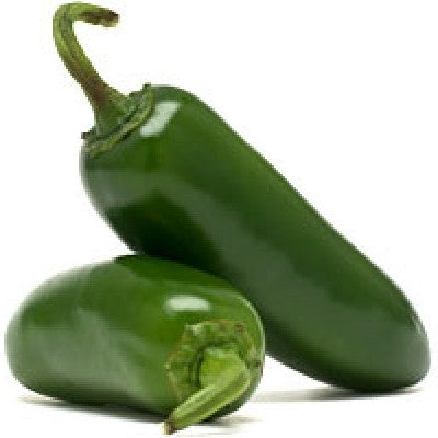 Pianta di Peperoncino Early Jalapeno vaso