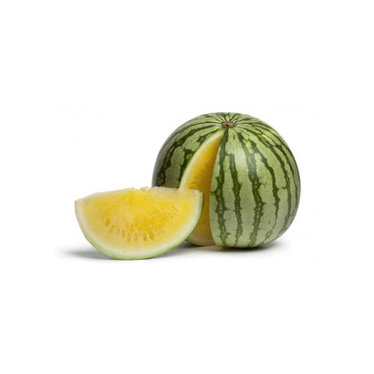 Pianta di Anguria mini gialla in vaso