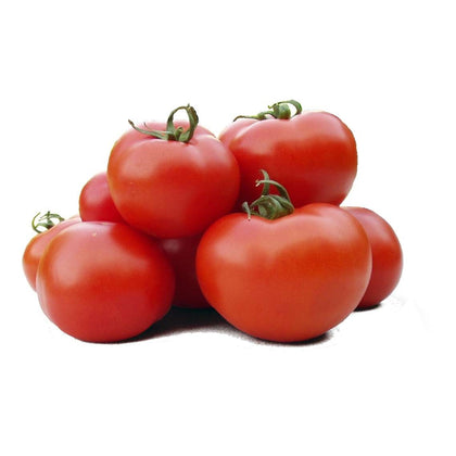 Pianta di Pomodoro tondo Montfavet in vaso