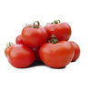 Pianta di Pomodoro tondo Montfavet in vaso
