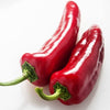 Poivron corne rouge en pot