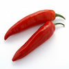 Pianta di Peperoncino basco (Gorria) vaso