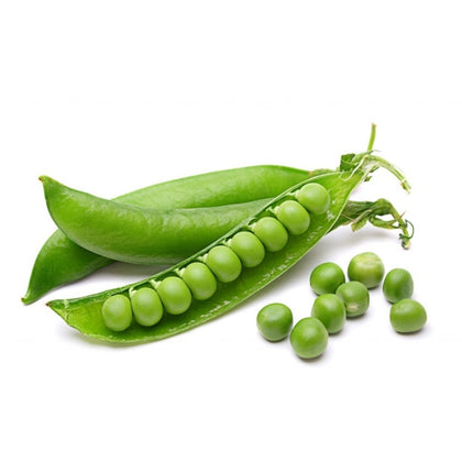 Pianta di pisello nano Progress N.9