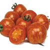 Plante de tomate ronde à rayures rouges en pot